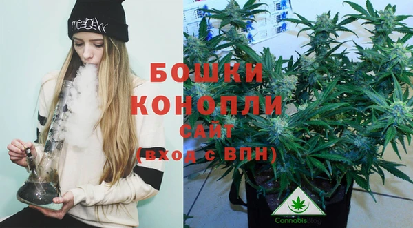 дмт Магадан