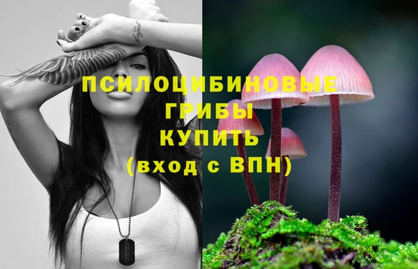 дмт Магадан